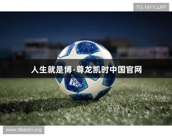 尊龙人生就是博电脑版:优化体验方法与常见问题解决方案全攻略