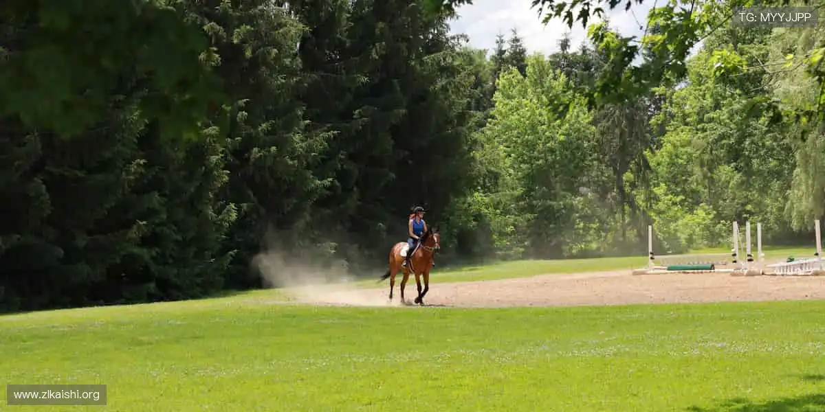 爆款电竞赛事集结:战报数据实时刷新,赛事资讯实时掌握热血不打烊
